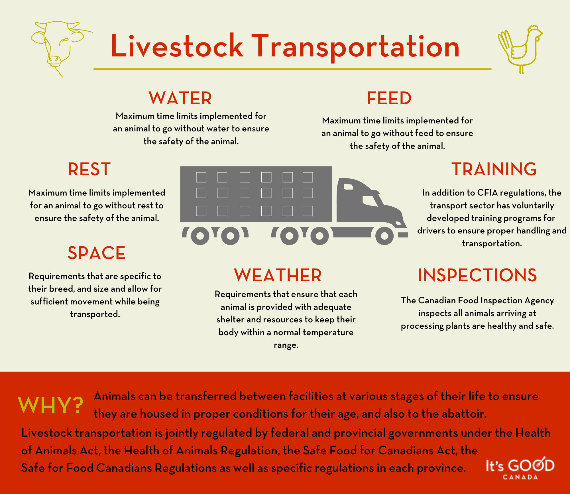 Livestock Transportation Infographic